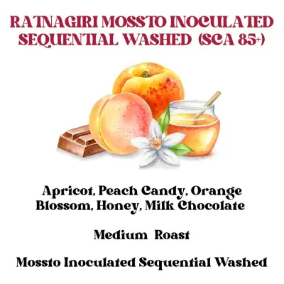 Ratnagiri Mossto Inoculated Sequential Washed Medium (SCA 85+)