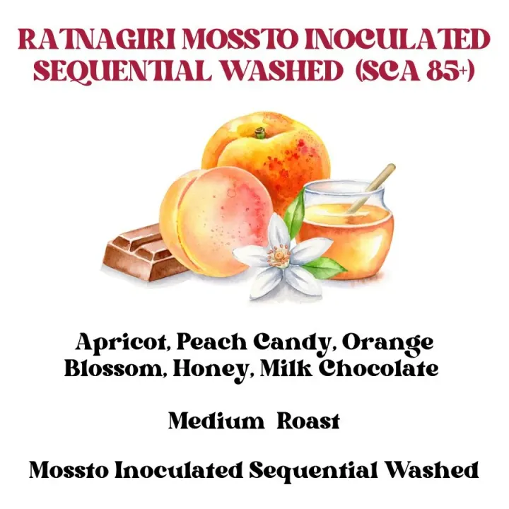Ratnagiri Mossto Inoculated Sequential Washed Medium (SCA 85+)