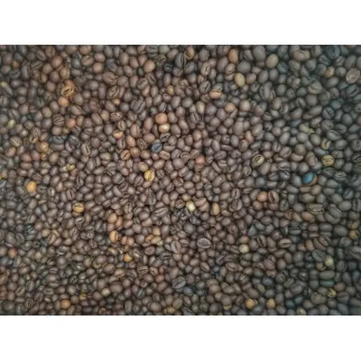 Roasted Coffee Beans-Robusta