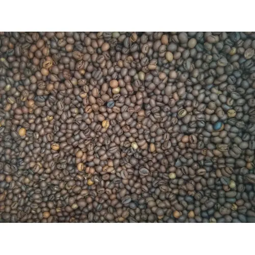 Roasted Coffee Beans-Robusta
