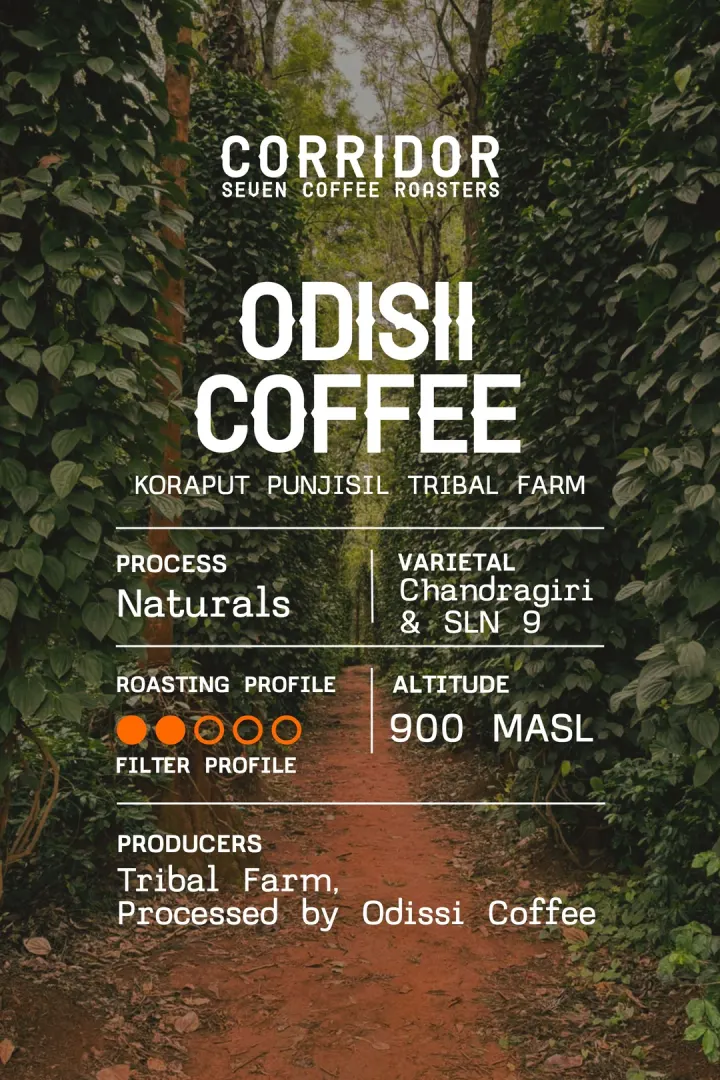 Tribal farms from Koraput, Odisii Coffee
