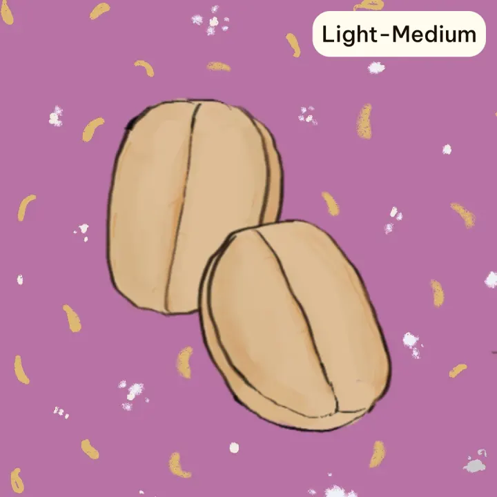 Double Ferment (Light - Medium)