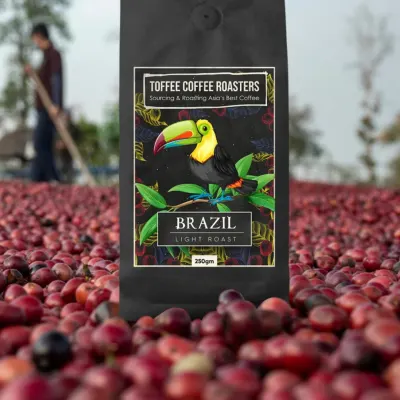 Brazil Cerrado Coffee (Latin America)