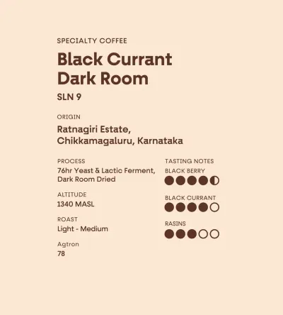 Ratnagiri Estate · Black Current Dark Room