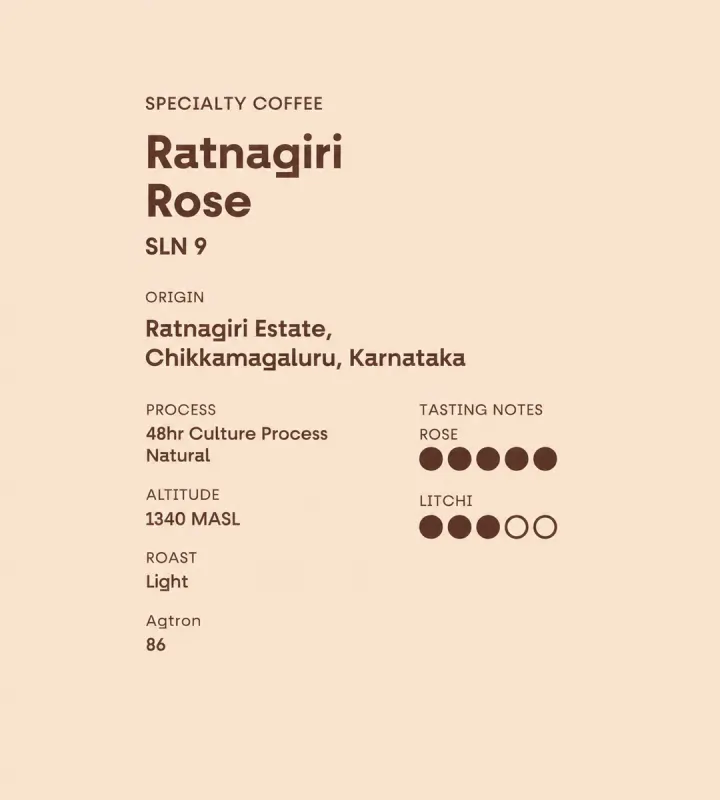 Ratnagiri Rose