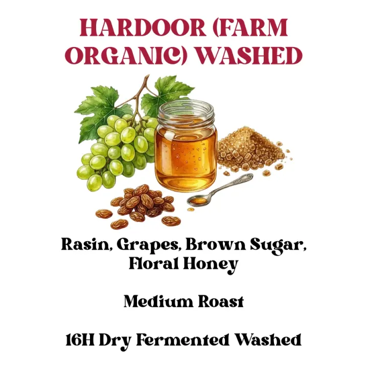 Hardoor Estate (Farm Organic) Washed