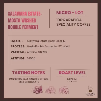 Salawara Estate- Mosto Washed Double Ferment