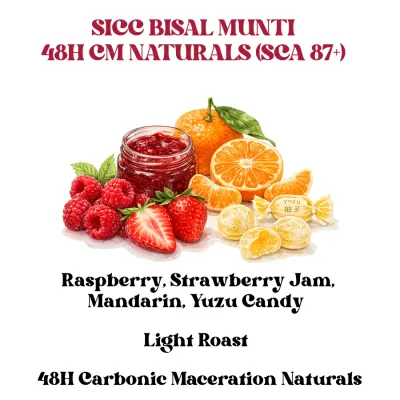 SICC Bisal Munti 48H CM Naturals