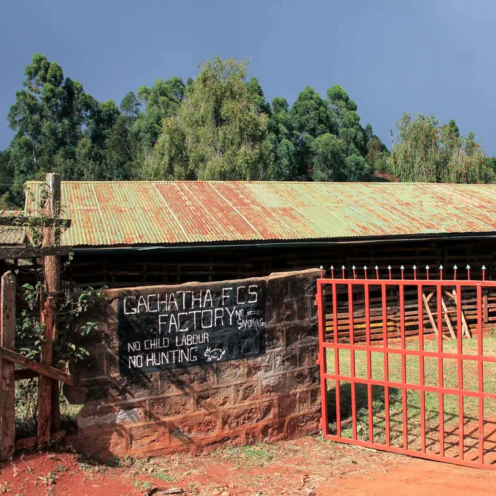 Gachatha AA, KENYA - vibrant (Whole Beans Only)