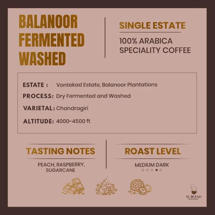 Balanoor Fermented Washed - Chandragiri