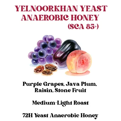 Yelnoorkhan Yeast Anaerobic Honey (SCA 85+)