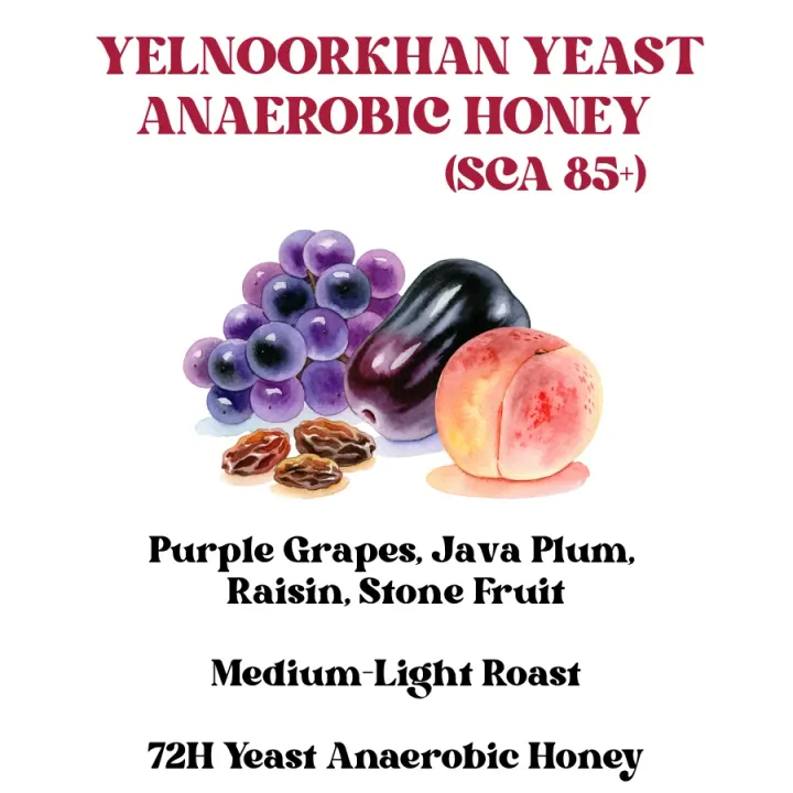 Yelnoorkhan Yeast Anaerobic Honey (SCA 85+)