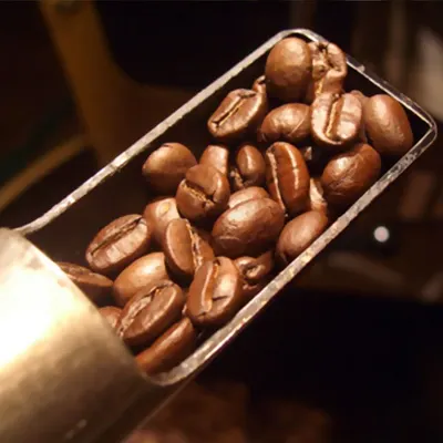 Mercara Gold Estate Plantation Arabica “A”
