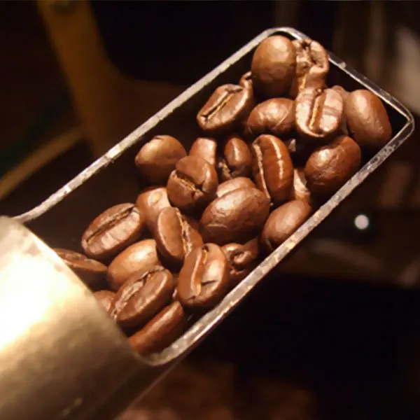 Mercara Gold Estate Plantation Arabica “A”