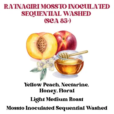 Ratnagiri Mossto Inoculated Sequential Washed Light Medium (SCA 85+)
