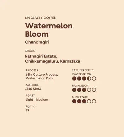 Ratnagiri Estate · Watermelon Bloom
