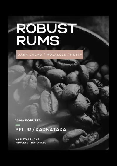 ROBUST RUMS