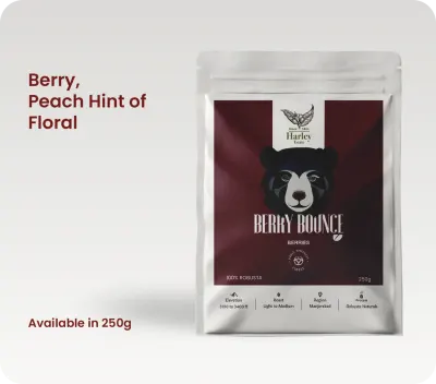 THE ROBUSTA SERIES