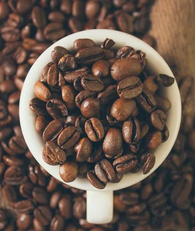 Pure Robusta