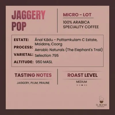 Jaggery Pop