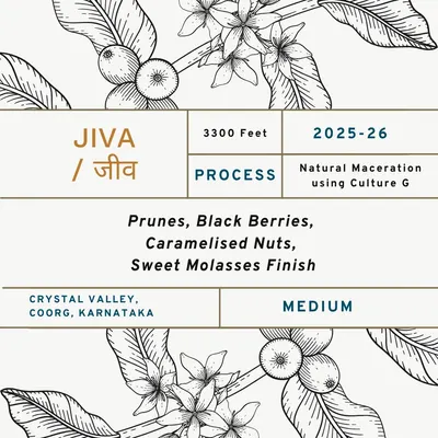 Jiva / जीव