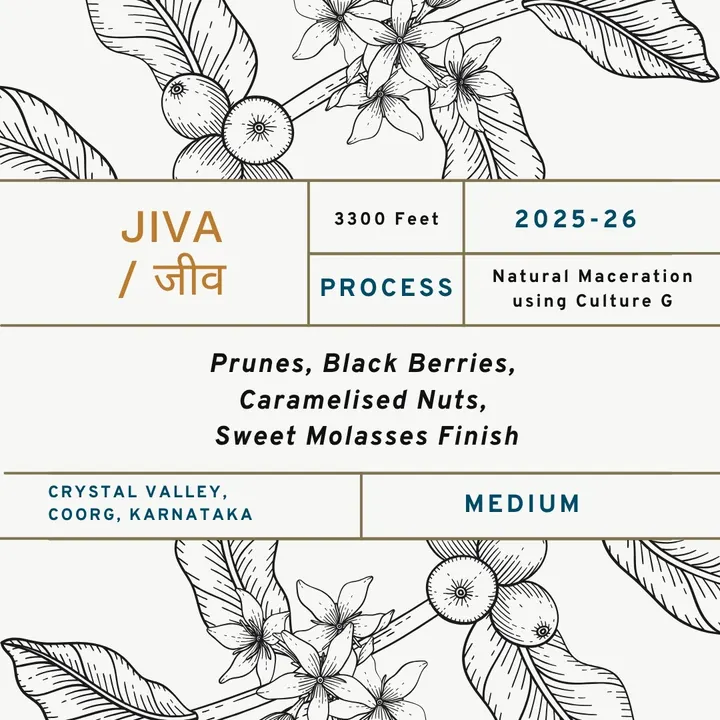 Jiva / जीव