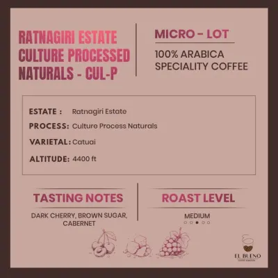 Ratnagiri Estate · Culture Processed Naturals- CUL-P