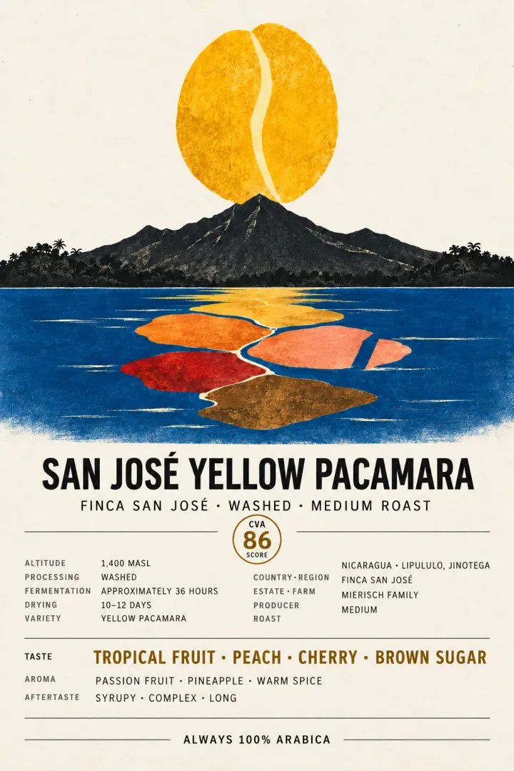 Nicaragua - San José Estate, Yellow Pacamara - Medium Roast
