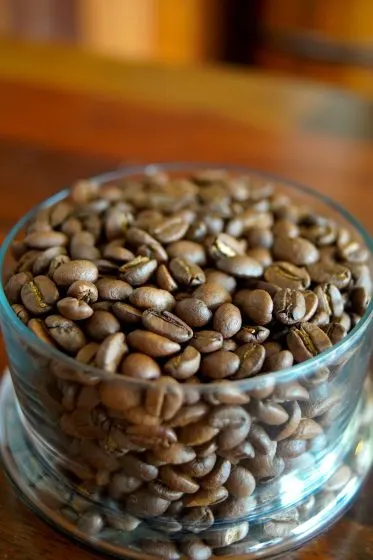 Pranoy's Pride