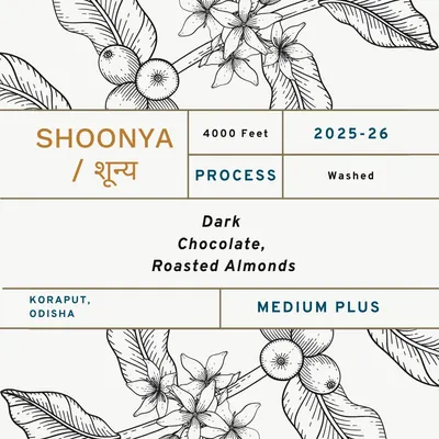Shoonya / शून्य