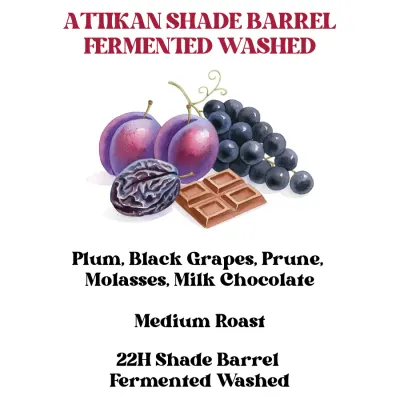 Attikan Shade Barrel Fermented Washed