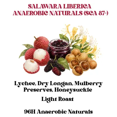 Salawara Liberica 96H Anaerobic Naturals (SCA 87+)