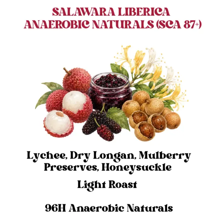 Salawara Liberica 96H Anaerobic Naturals (SCA 87+)