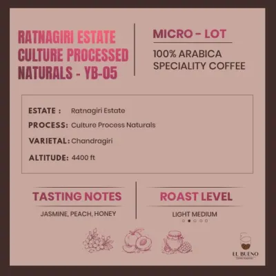 Ratnagiri Estate · Culture Processed Naturals - YB-05