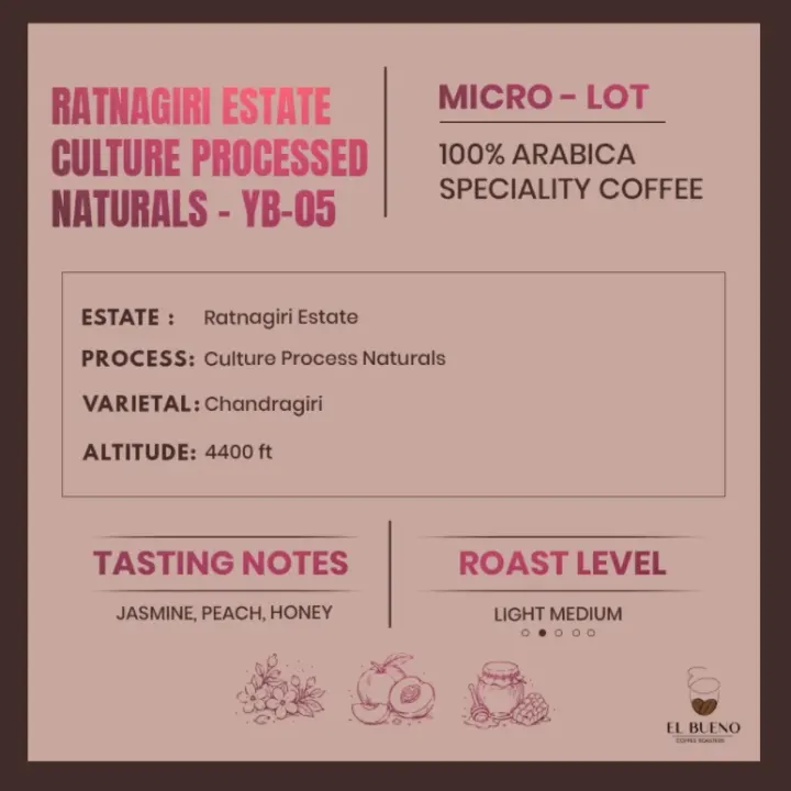 Ratnagiri Estate · Culture Processed Naturals - YB-05