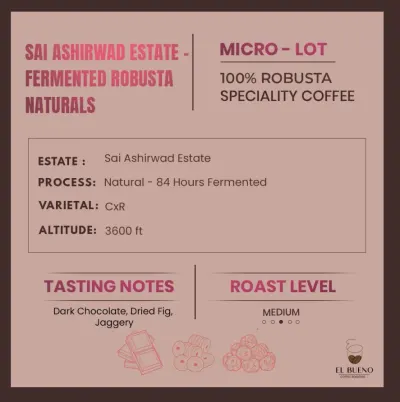 Sai Ashirwad Estate - Fermented Robusta Naturals
