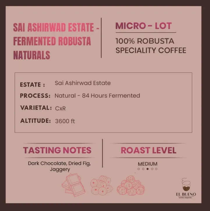 Sai Ashirwad Estate - Fermented Robusta Naturals
