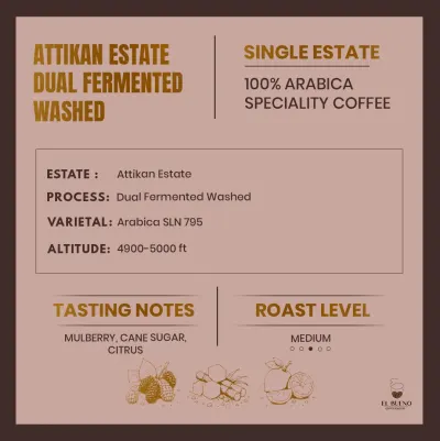 Attikan Estate · Dual Fermented Washed