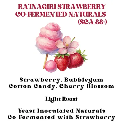 Ratnagiri Strawberry Co-Fermented Naturals (SCA 88+)