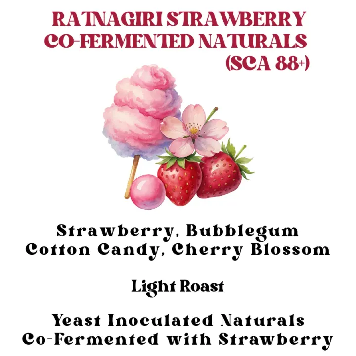Ratnagiri Strawberry Co-Fermented Naturals (SCA 88+)