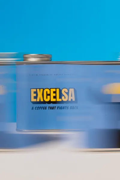 Excelsa