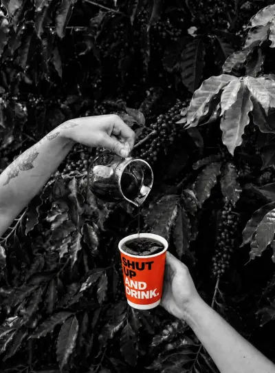 Ratnagiri Estate · Chikmagalur | 100% Arabica | Omni Roast | 250g