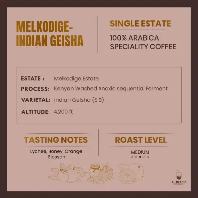 Melkodige- Indian Geisha