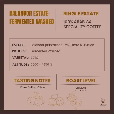 Balanoor Fermented Washed - BBTC
