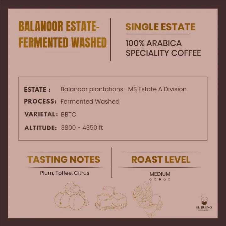 Balanoor Fermented Washed - BBTC
