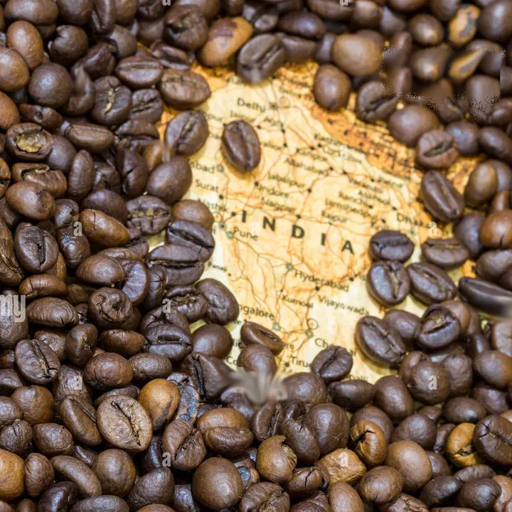 India Monsooned Malabar Single Origin