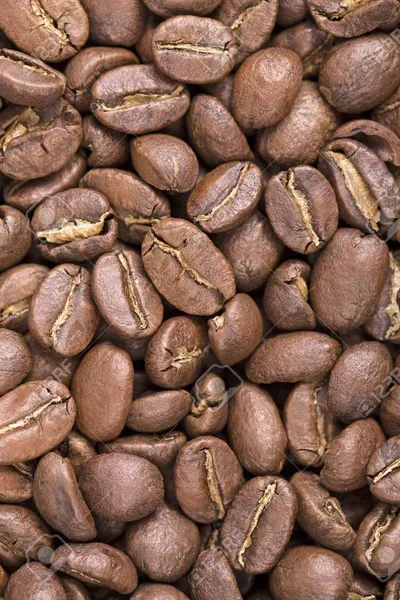 Pure Arabica B Grade Roasted Seeds