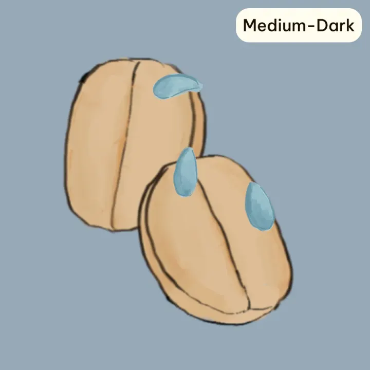 Washed (Medium-Dark)