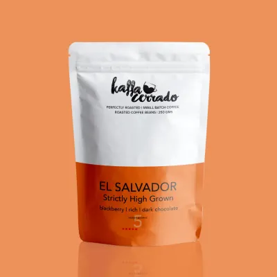 Salvador SHG
