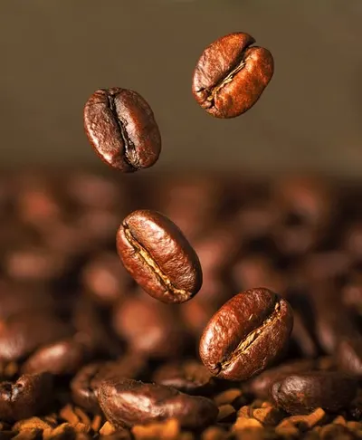 Pure Arabica AAA